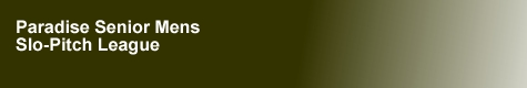 Paradise Logo